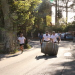 serrone 2014 (15)
